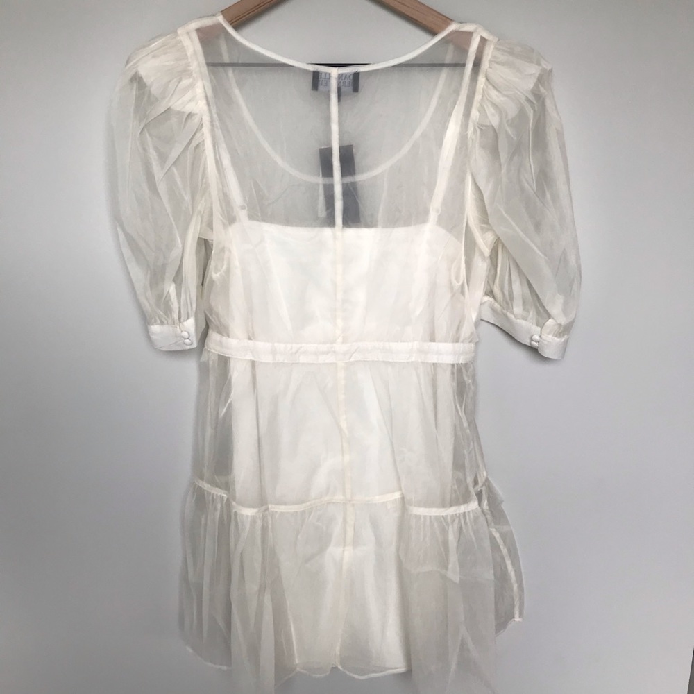 Danielle Bernstein Baby Doll Puff Sleeve Dress - Picture 5 of 7